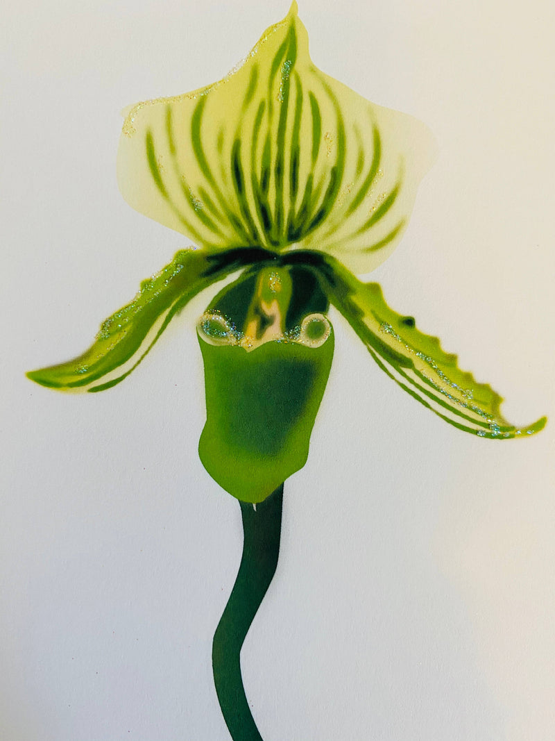 Green Lady Slipper Flower, Everyday Card