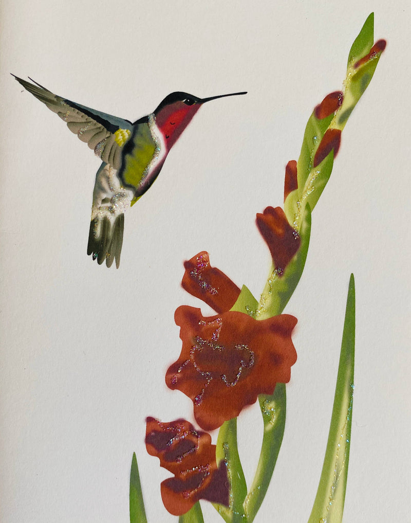 Gladiola + Humming Bird