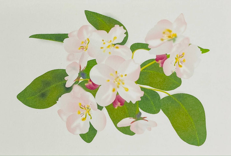 Cherry Blossoms - Gift Enclosure Cards