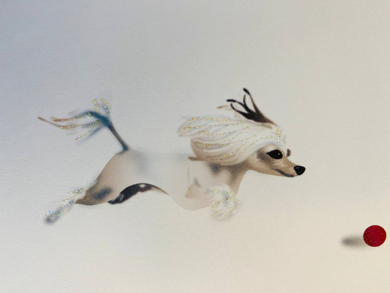 Chinese Crested Dog