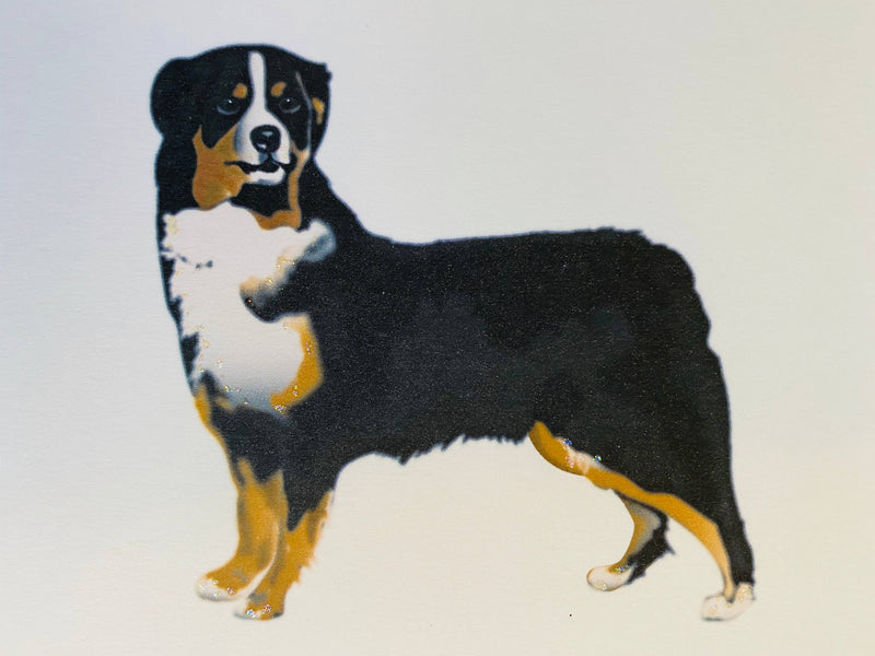 Bernese Mountain Dog