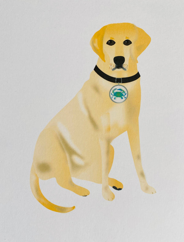 Dog/Yellow Lab