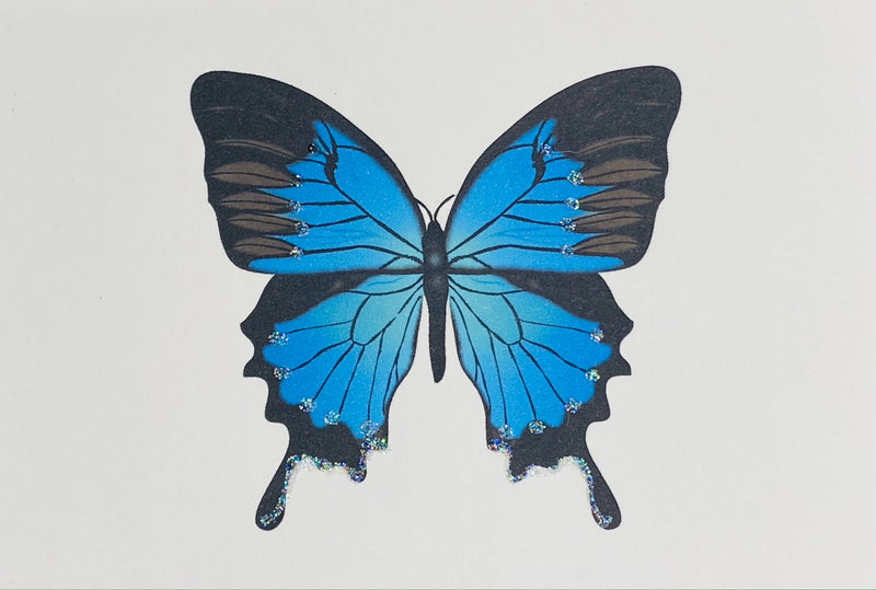 Blue Butterfly - Gift Enclosure Cards