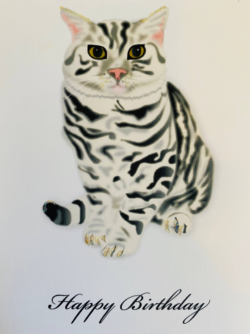 Birthday Tabby Cat