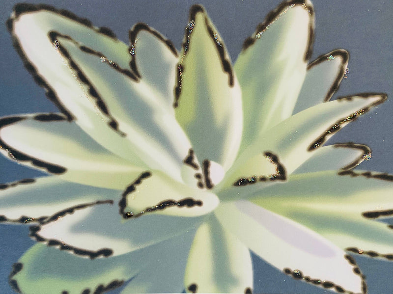 Succulent Fuzzy