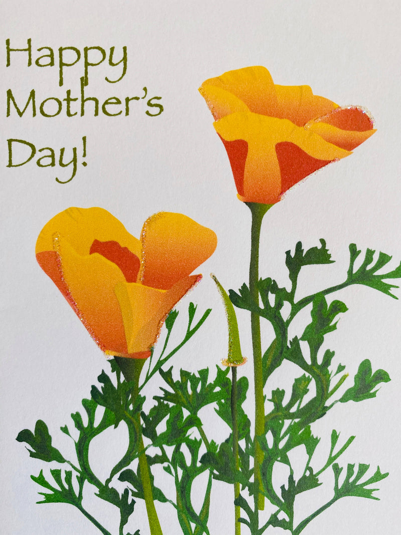 California Poppy